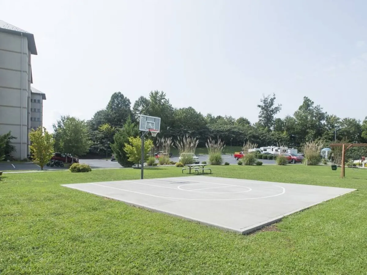 An energetic exterior view of a basketball court surrounded by lush greenery and park benches. The space invites friendly games and casual gatherings, with ample room for spectators or picnickers nearby.